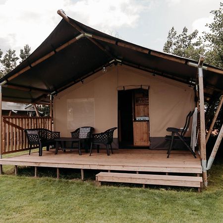Camping De Tulpenweide Breezand Rum bild